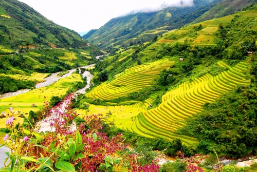 Sapa Tour 2 Days 1 Night (overnight Ban Ho village)